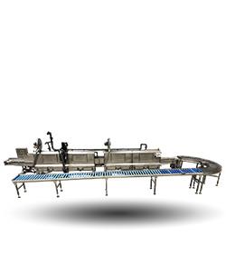 Radish washing machine