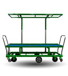 Bunch-tomato harvesting trolleys