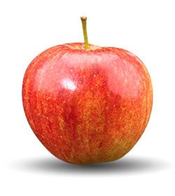 Apple grading machines