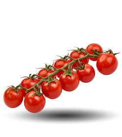 Cherry tomaten sorteermachines