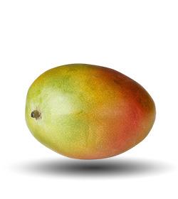 Mango grading machines