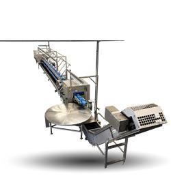 Onion processing machines