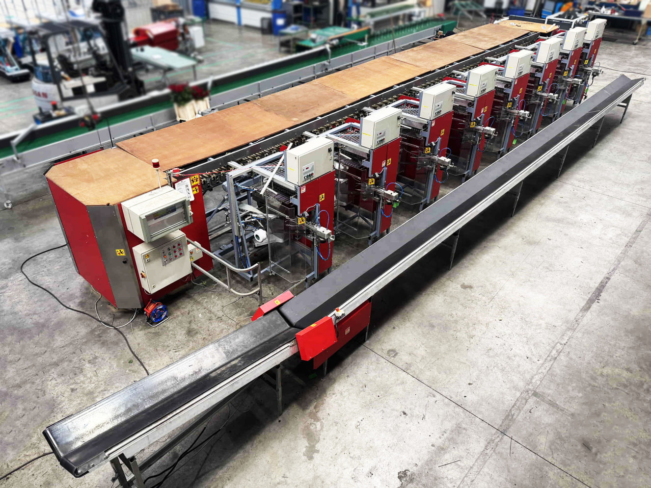 Rose bunching machine with rose sealing machine as good as new after a complete revision for a customer in Poland